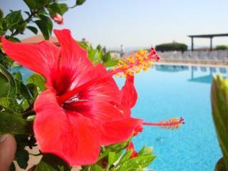 Casarossa Hotel Residence & Beauty Crotone Eksteriør billede